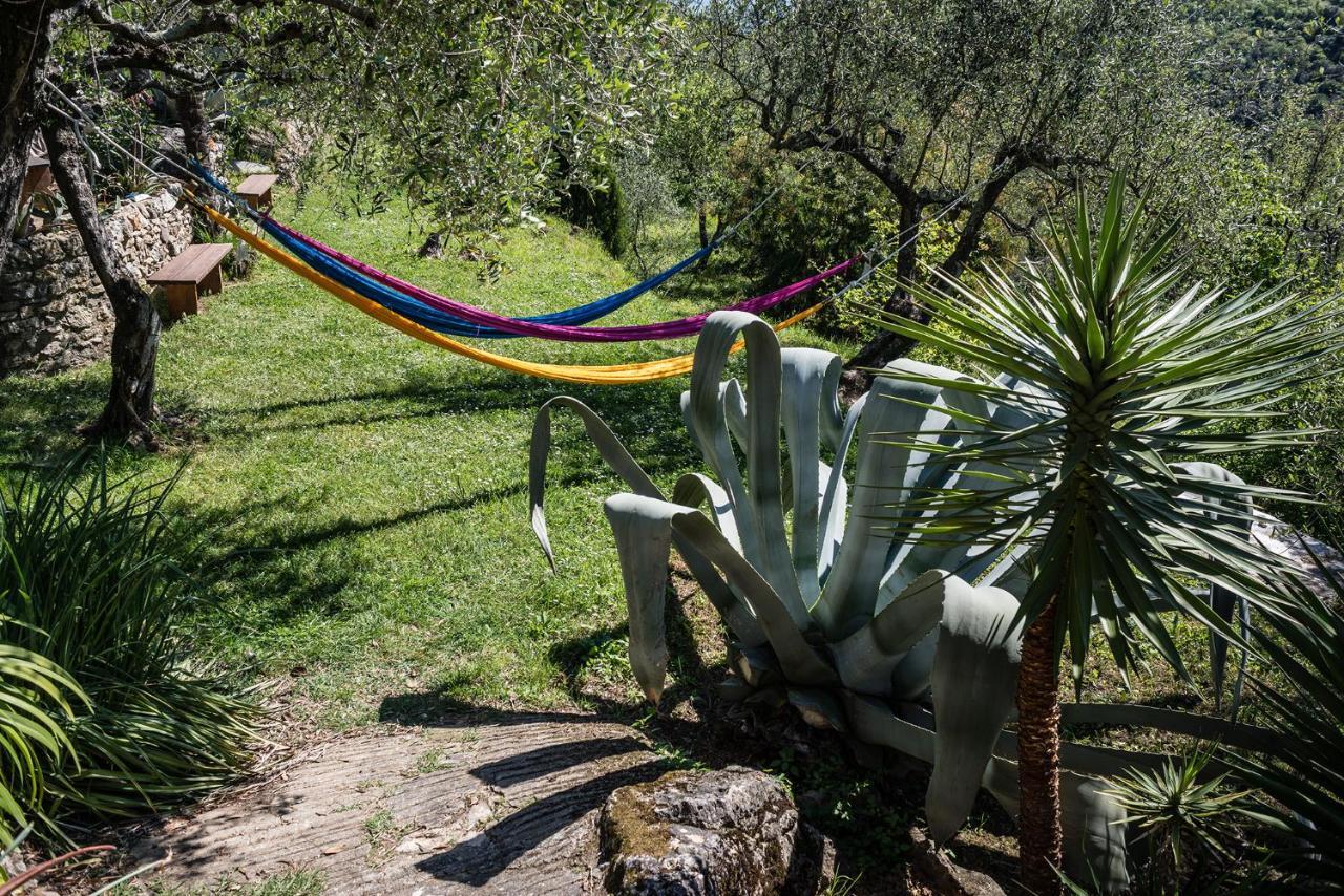 La Fattoria Di Nonna Eugenia Bed & Breakfast Lerici Exterior photo