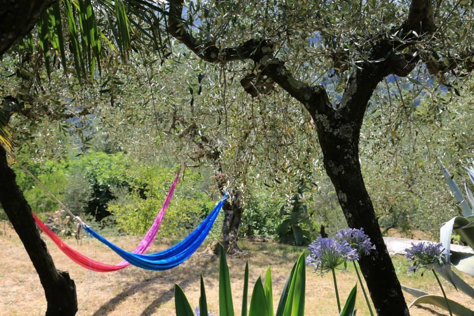 La Fattoria Di Nonna Eugenia Bed & Breakfast Lerici Exterior photo